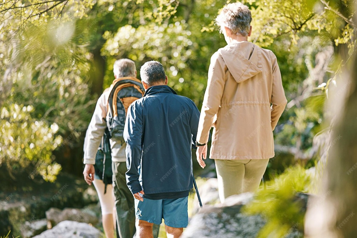 Pourquoi il fait plus froid en montagne : le gradient thermique expliqué